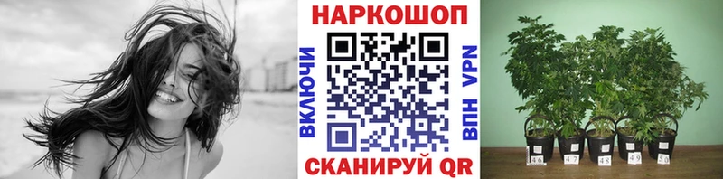 Наркота Саратов COCAIN ГАШИШ СК АМФЕТАМИН Каннабис