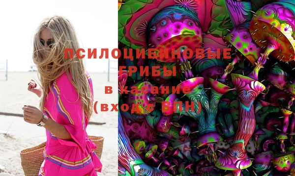 стаф Баксан