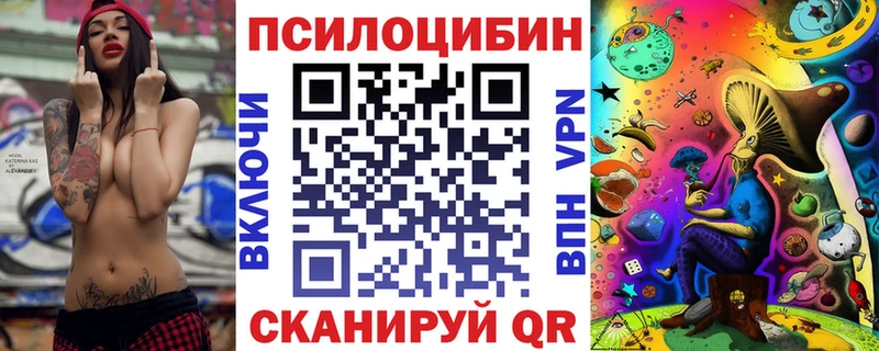 наркошоп  Саратов  Псилоцибиновые грибы Psilocybe 